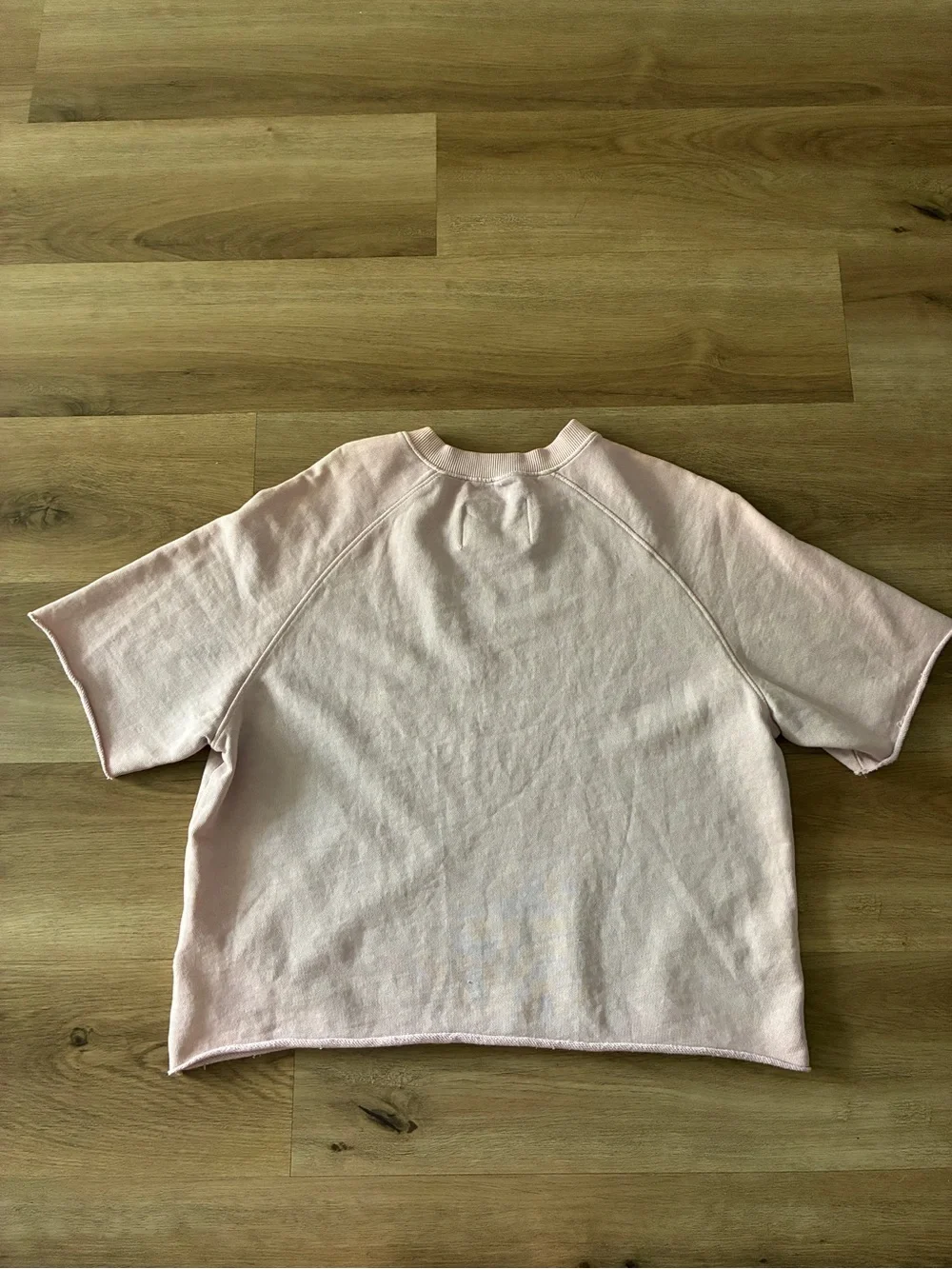 BDG El Paso Cropped Sweatshirt Tee Pink Scorpion Graphic NWOT Size XS/S